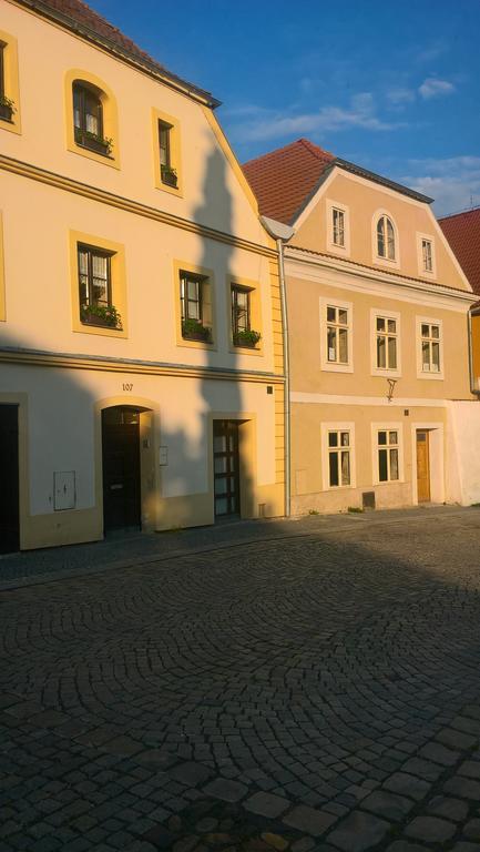 Apartmany Zatec ภายนอก รูปภาพ